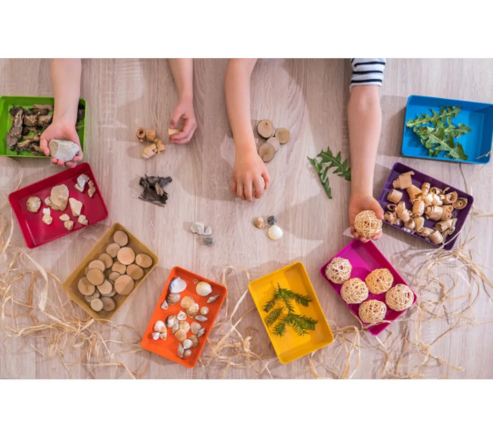 Tout Pour le Jeu 6 grandes barquettes plateaux colorés Bioplastique 23 x 14.9 x 4 cm GM
