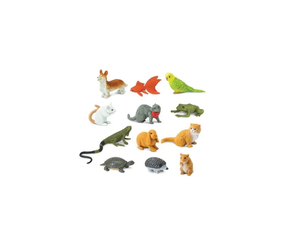 Tout Pour le Jeu 12 Animaux Familiers dans un tube de rangement