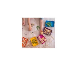 Tout Pour le Jeu 6 barquettes plateaux colorés Bioplastique 12 x 18 x 2.5 cm PM