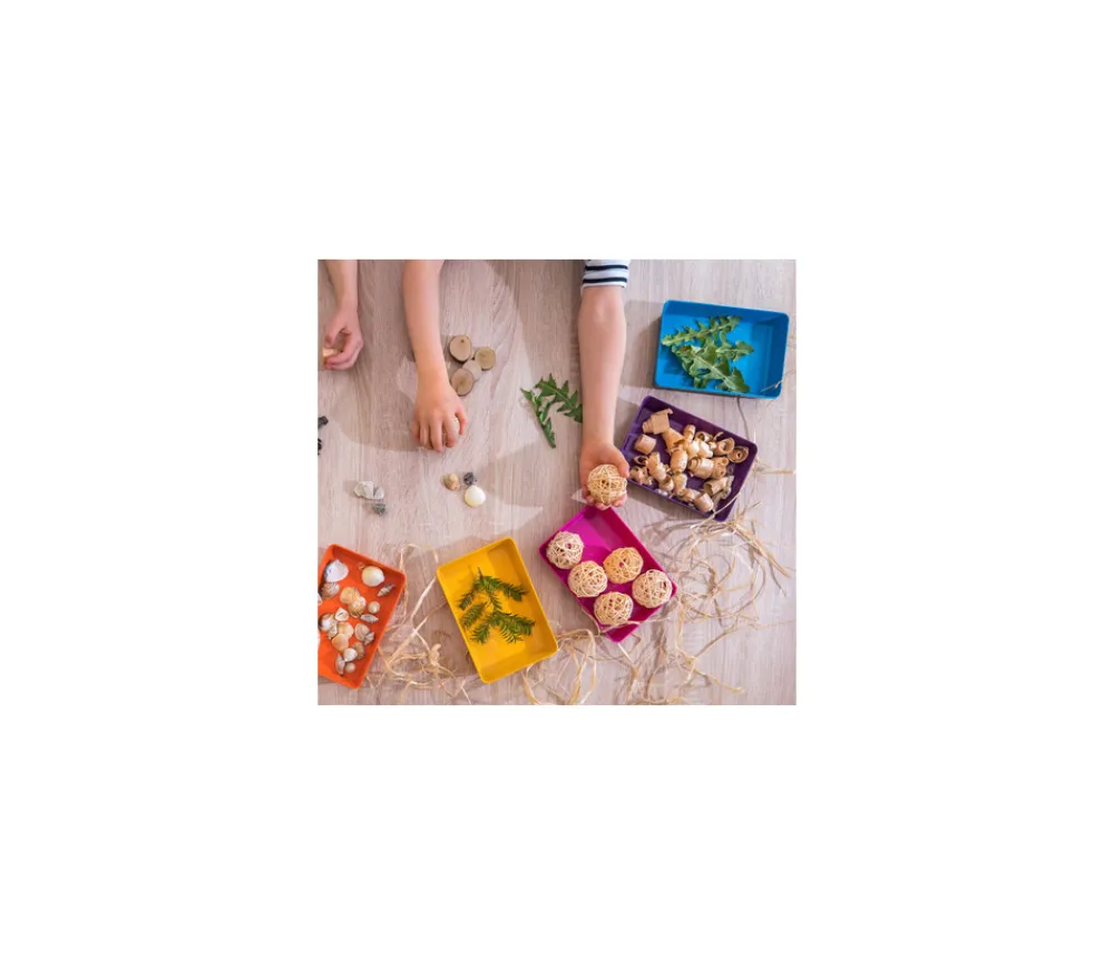 Tout Pour le Jeu 6 barquettes plateaux colorés Bioplastique 12 x 18 x 2.5 cm PM