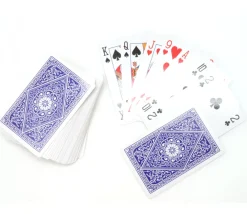 Tout Pour le Jeu 54 cartes internationales 100 % plastique Lonfield dans boite plastique
