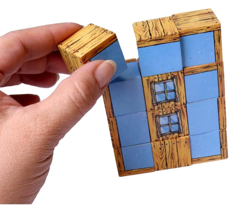 Tout Pour le Jeu 12 Cubes en bois 2.5 cm imprimés blocs de construction