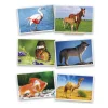 Tout Pour le Jeu 54 Fiches photos animaux pour jeux de langage