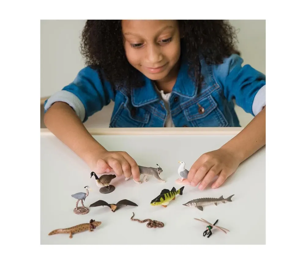 Tout Pour le Jeu 10 Figurines animaux des grands lacs