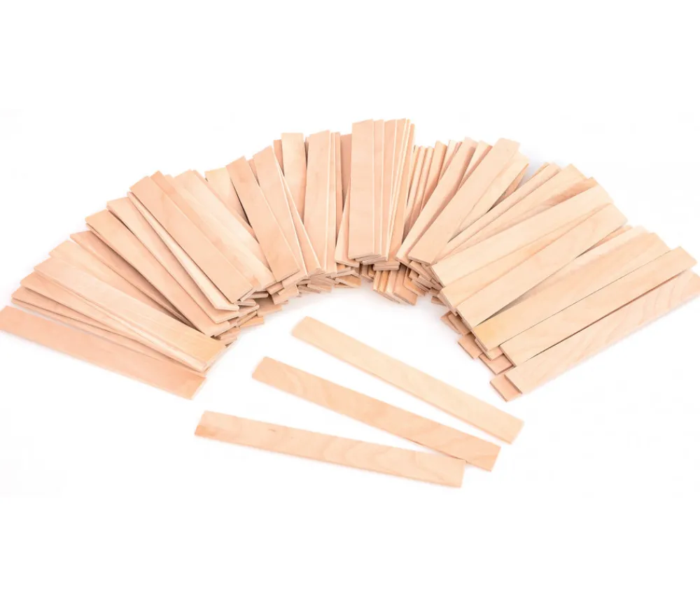 Tout Pour le Jeu 45 grandes plaquettes en bois naturel 36 cm construction jeux