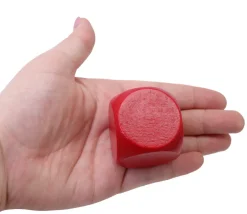 Tout Pour le Jeu 6 gros dés neutres 4 cm bois multicolores