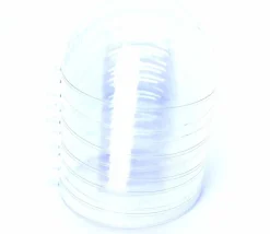 Tout Pour le Jeu 5 grosses Boules 10 cm plastique cristal à remplir et suspendre