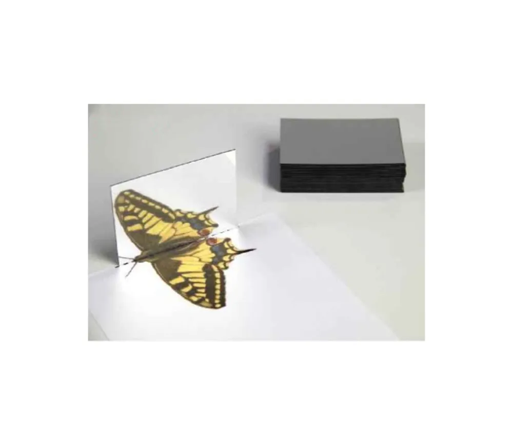 Tout Pour le Jeu 25 mini Miroirs 8.7 x 6.2 cm en plastique