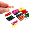 Tout Pour le Jeu 24 Mini pinces à linge en bois coloré - 25 mm