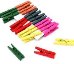 Tout Pour le Jeu 24 Mini pinces à linge en bois coloré - 25 mm