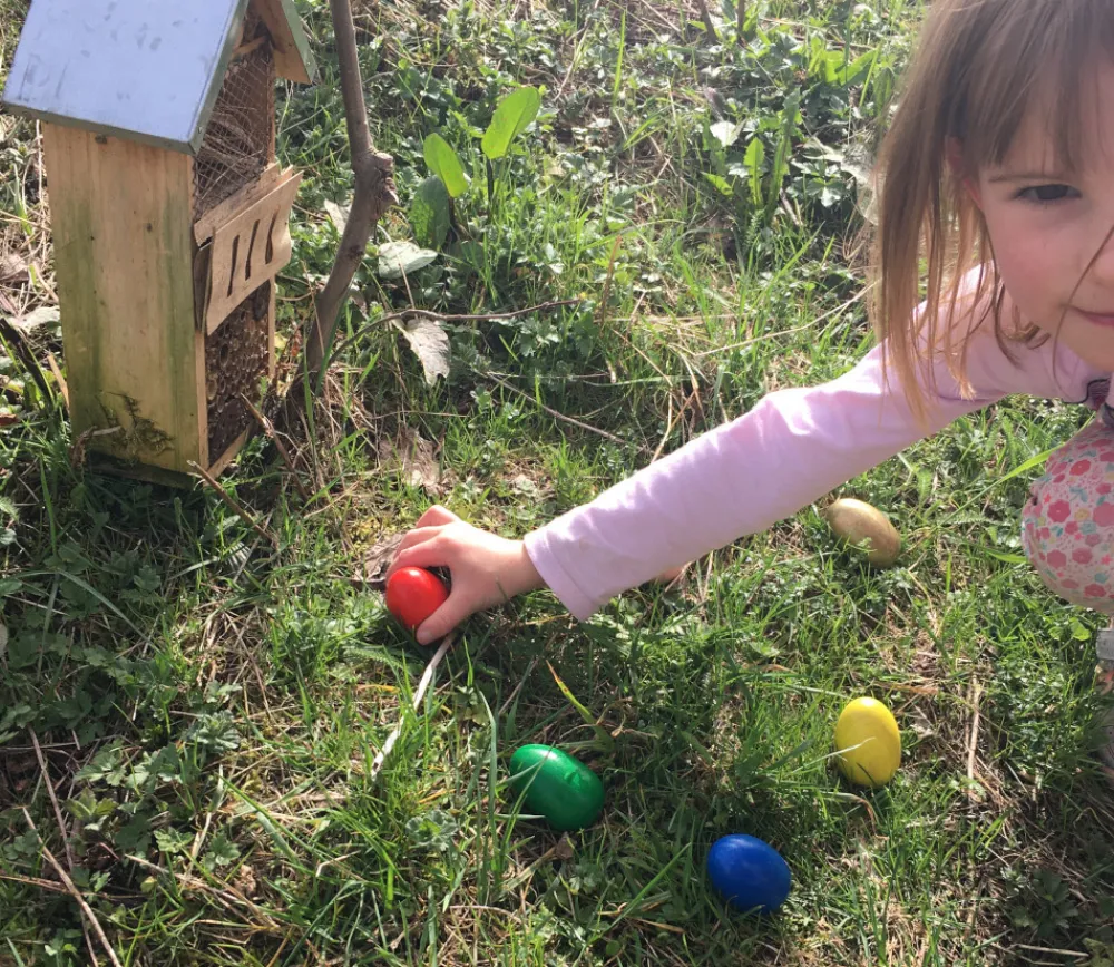 Tout Pour le Jeu 6 Oeufs en bois multicolores de 6 cm - 6 couleurs