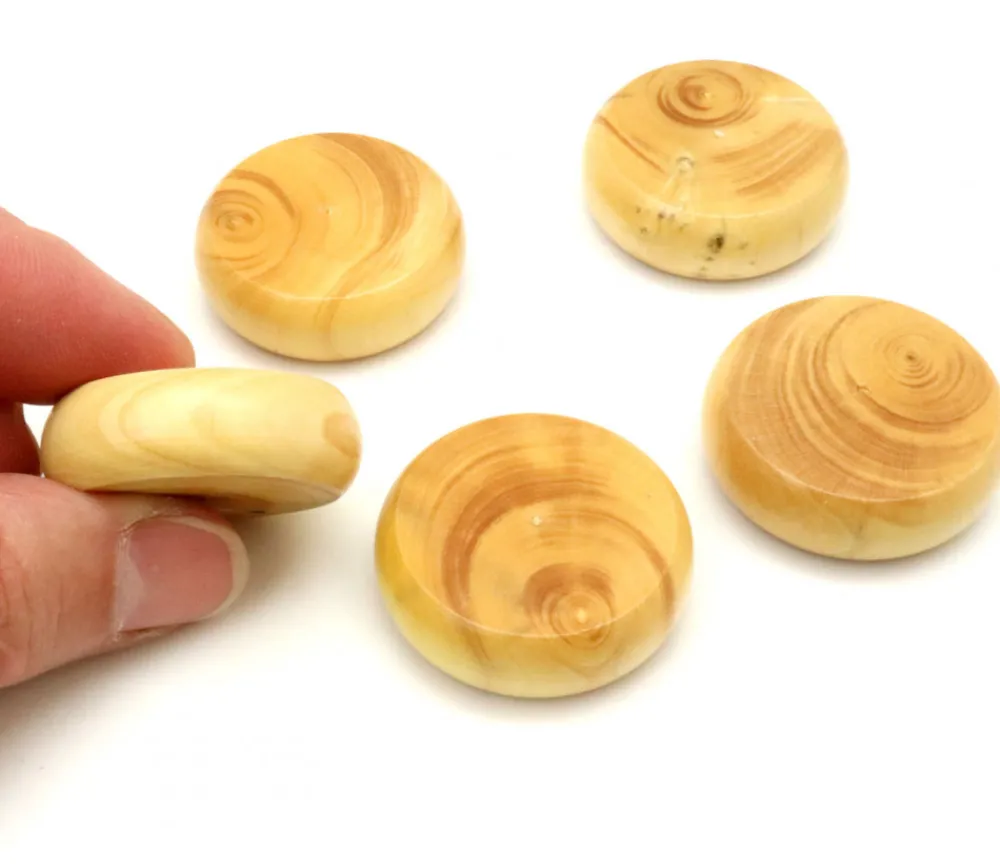 Tout Pour le Jeu 10 Palets crokinole 32 mm jeux 5 pions naturels et 5 pions noirs