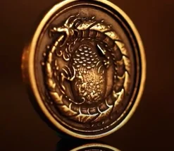 Tout Pour le Jeu 20 Pièces en métal Forged dragon