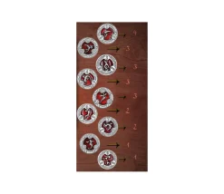Tout Pour le Jeu 22 Pièces métal et émail rouge RPG Spell Tokens