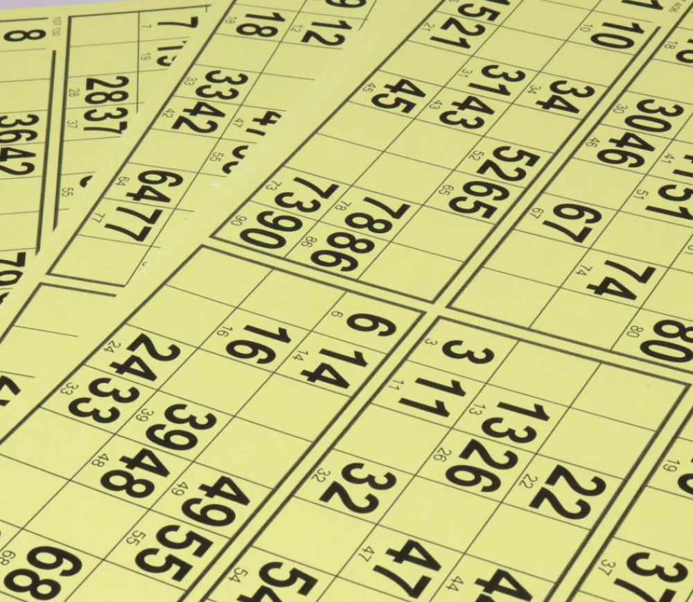 Tout Pour le Jeu 10 planches de 6 cartons loto rigides