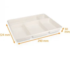 Tout Pour le Jeu 4 Plateaux de tri 5 compartiments (compatible R2N)