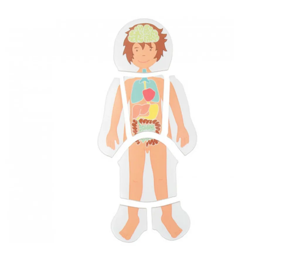 Enfant Tout Pour le Jeu 4 puzzles à étage - anatomie garçon de 28 pièces