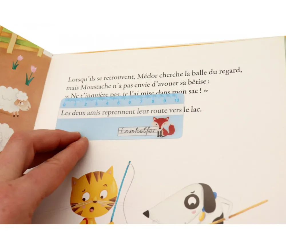 Tout Pour le Jeu 6 Règles d'aide à la lecture renard 11 x 4 cm