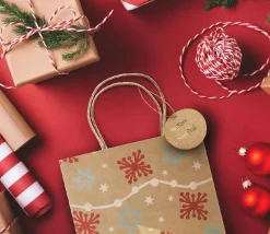 Tout Pour le Jeu 24 Sacs cadeau Noël kraft avec anse à garnir