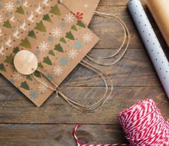 Tout Pour le Jeu 24 Sacs cadeau Noël kraft avec anse à garnir