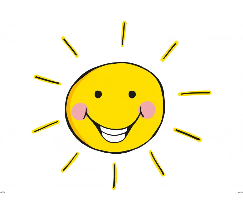 Tout Pour le Jeu 36 Stickers fenêtre météo repositionnables