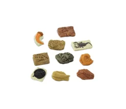 Tout Pour le Jeu Anciens fossiles 4/5 cm - paléontologie 10 pièces