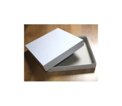 Tout Pour le Jeu C2C Boite carré avec cale - 260 x 260 x 43 mm - blanc avec sabot intérieur