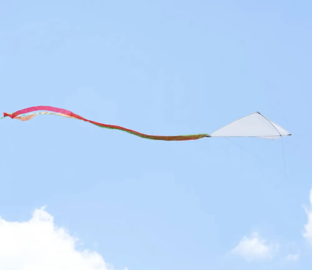 Enfant Tout Pour le Jeu Cerf-volant blanc à décorer