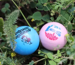 Tout Pour le Jeu Cochonnet FUN 