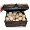 Tout Pour le Jeu Coffre au trésor GM pirate 28 x 20 x 21 cm