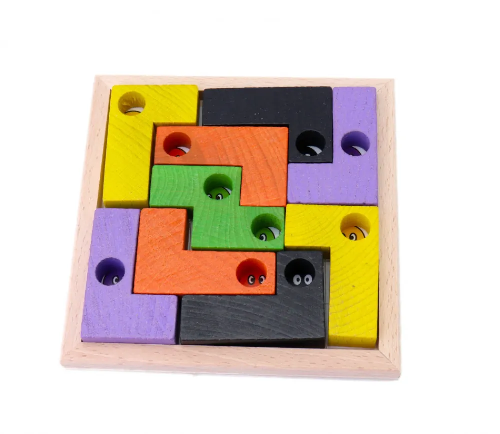 Tout Pour le Jeu Coincidix master en bois - jeu casse tête évolutif