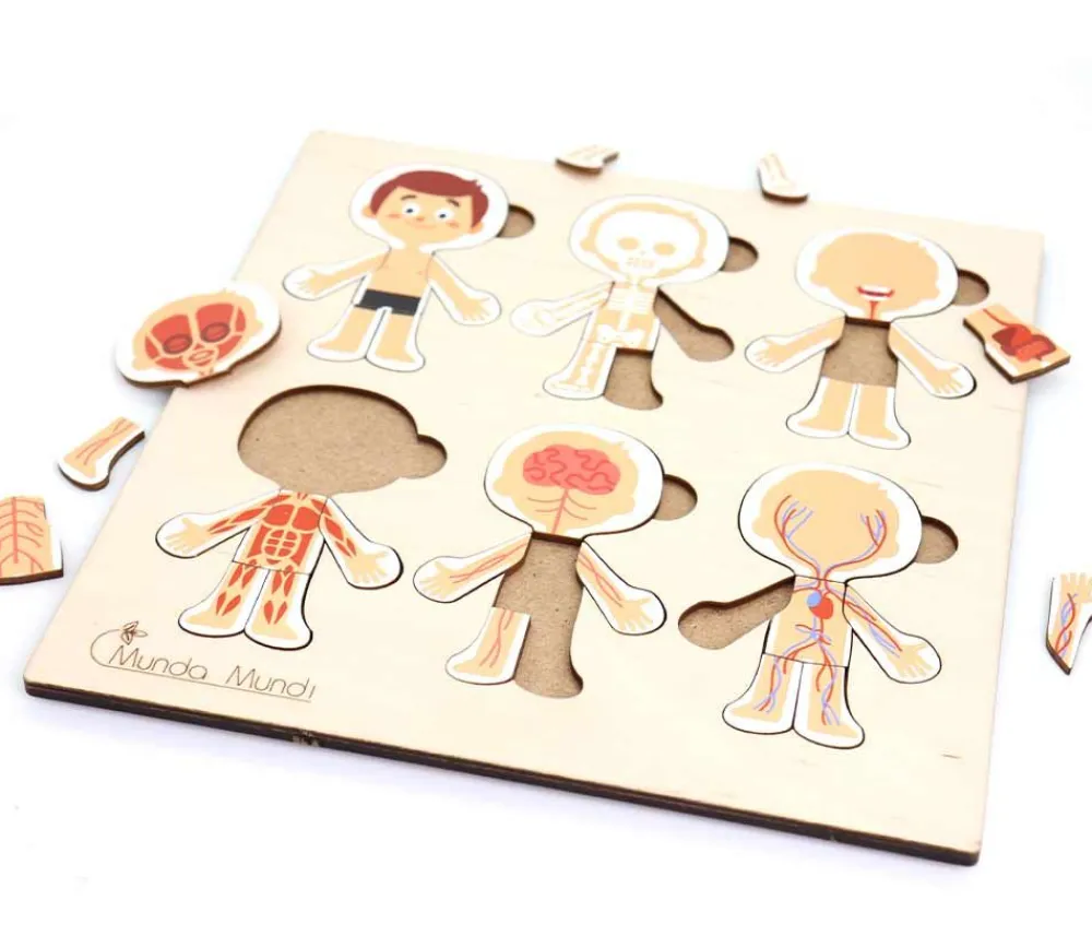 Tout Pour le Jeu Corps humain découverte : 6 mini puzzles bois