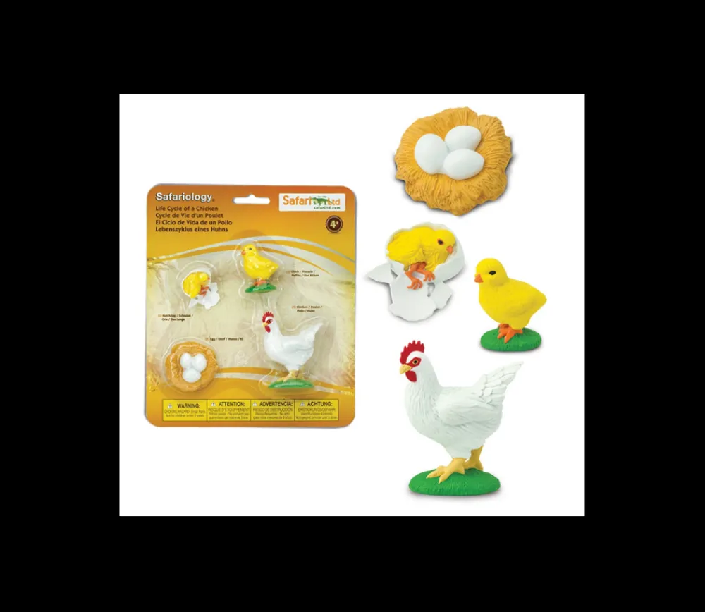 Tout Pour le Jeu Cycle de la vie de l'oeuf à la poule