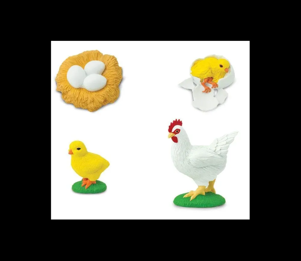 Tout Pour le Jeu Cycle de la vie de l'oeuf à la poule