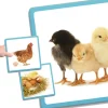 Enfant Tout Pour le Jeu Cycle de vie - Maxi séquences nature - jeu