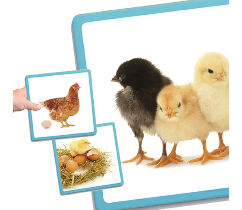 Enfant Tout Pour le Jeu Cycle de vie - Maxi séquences nature - jeu