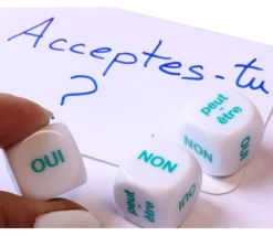 Tout Pour le Jeu Dé de Décisions : OUI NON Peut-être