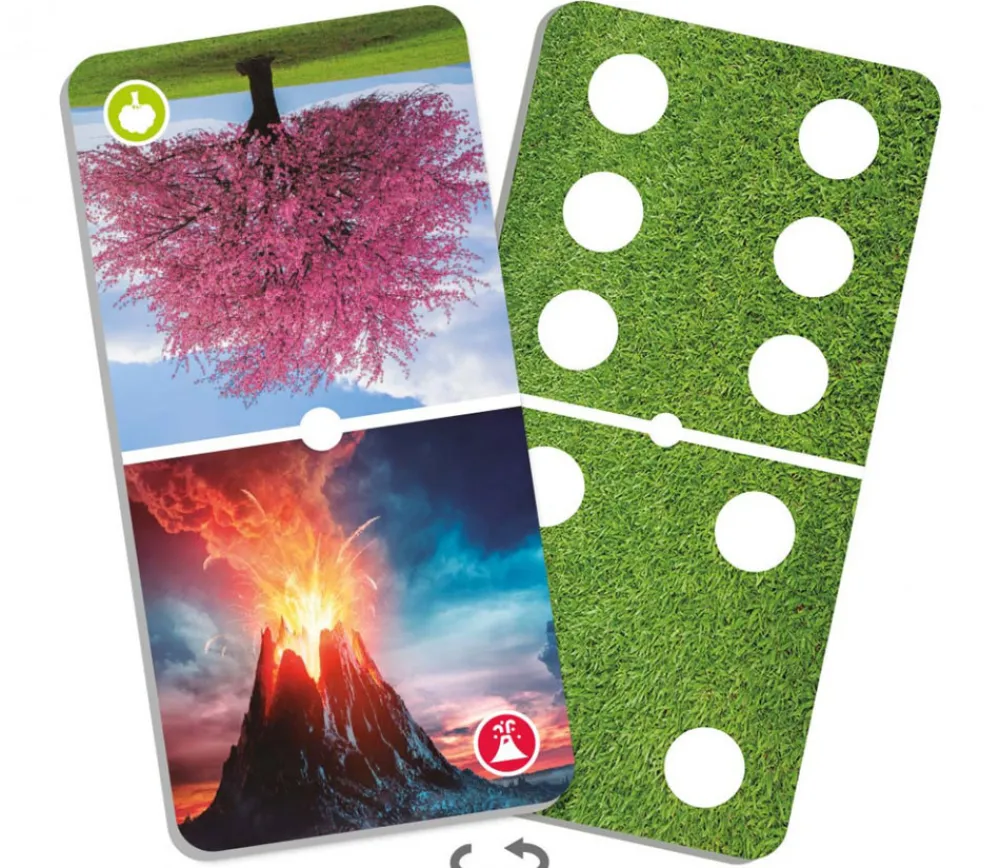 Tout Pour le Jeu Domino merveilles de la nature