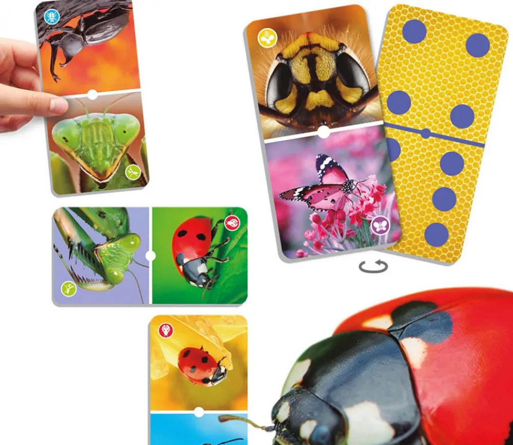 Tout Pour le Jeu Domino nature : insectes