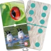 Tout Pour le Jeu Domino nature : Zoom sur les animaux
