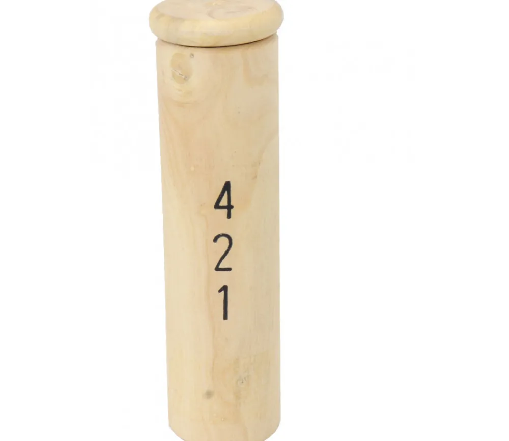 Tout Pour le Jeu Etui 421 bois dés avec jetons