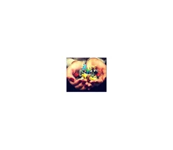 Tout Pour le Jeu Figurine mini mini manchot empereur 30 x 10 x 15 mm
