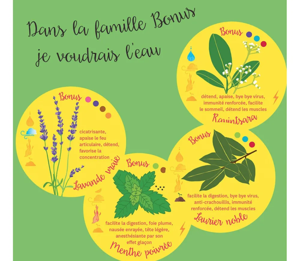Tout Pour le Jeu Huiles essentielles découverte - Jeu de mémo