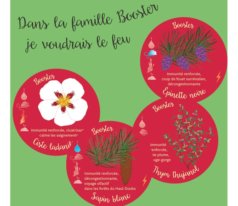 Tout Pour le Jeu Huiles essentielles découverte - Jeu de mémo