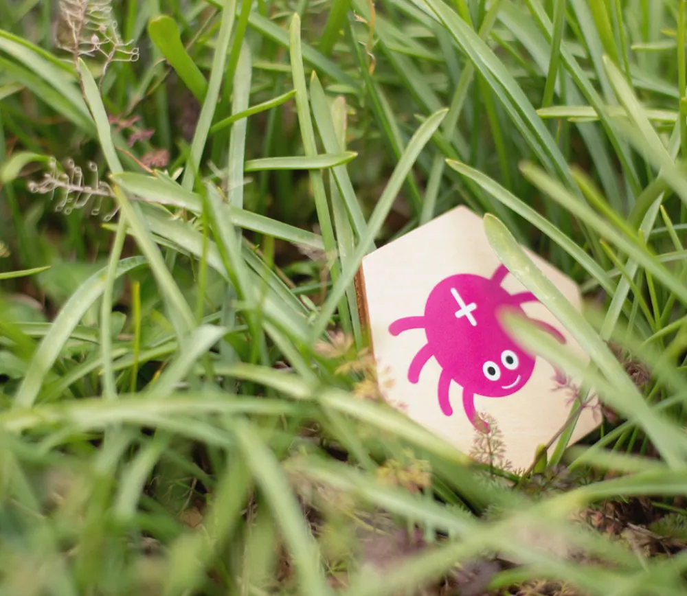 Tout Pour le Jeu Jeu bois Les insectes - Mémo géant et recherche active