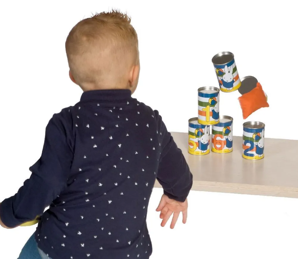 Enfant Tout Pour le Jeu Jeu Chamboule tout - casse brique Miffy