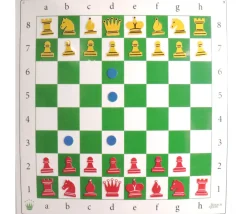 Tout Pour le Jeu Jeu d'échec mural repositionnable complet pour démonstration