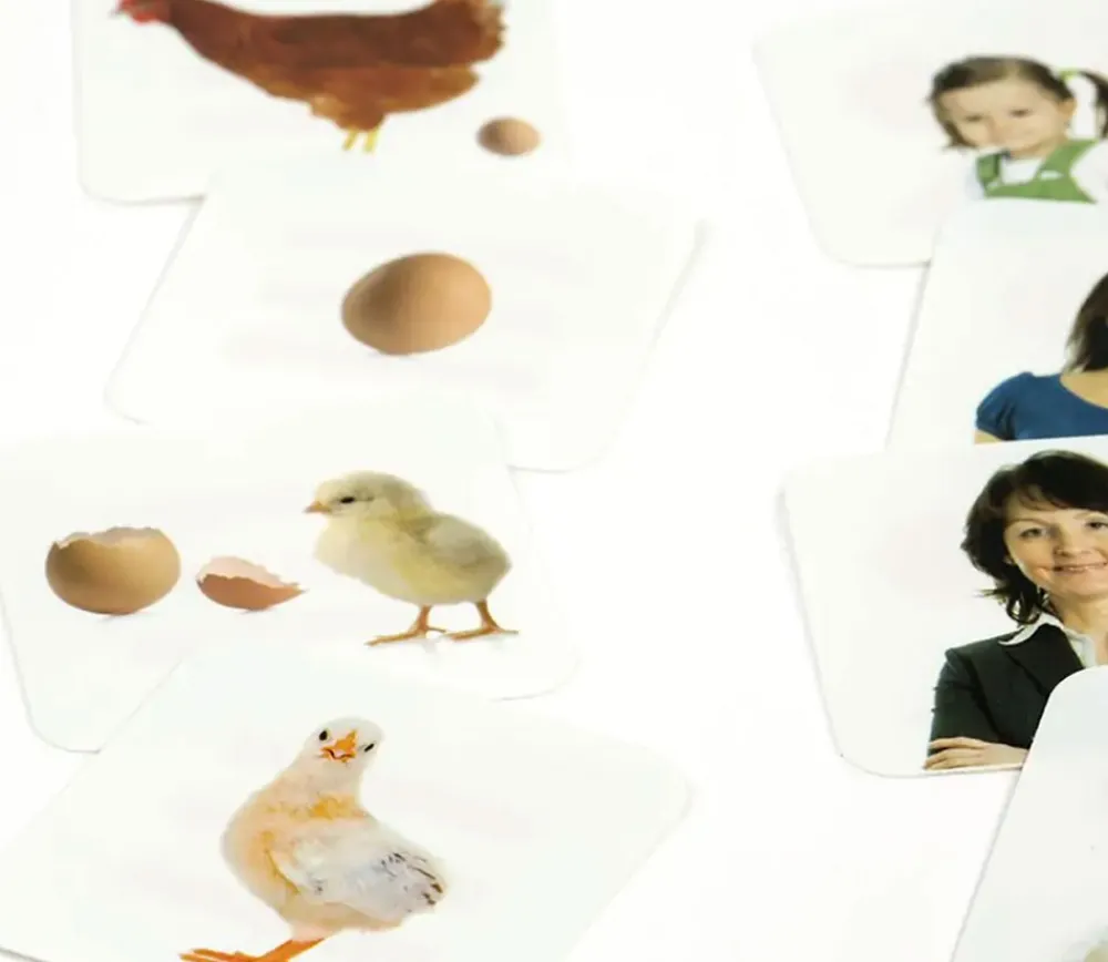 Tout Pour le Jeu Jeu des séquences cycles découverte du monde enfant 4-6 ans