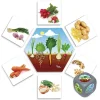 Enfant Tout Pour le Jeu Jeu d'où viennent les aliments ?