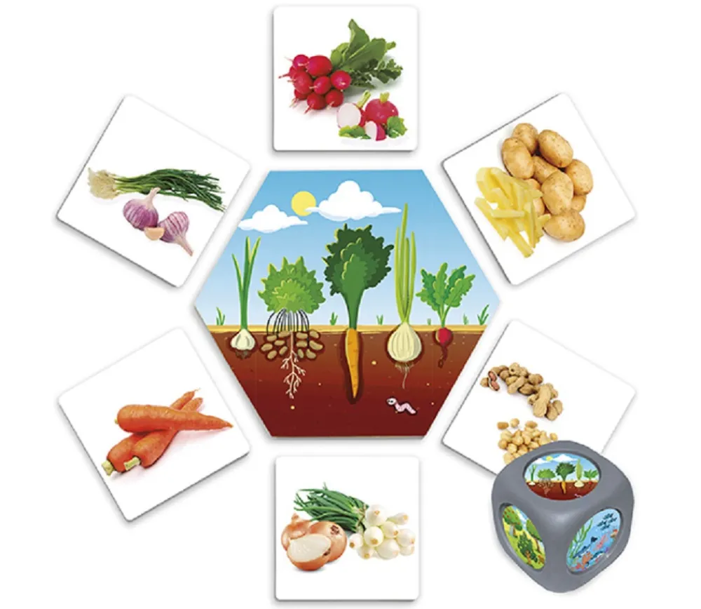 Enfant Tout Pour le Jeu Jeu d'où viennent les aliments ?